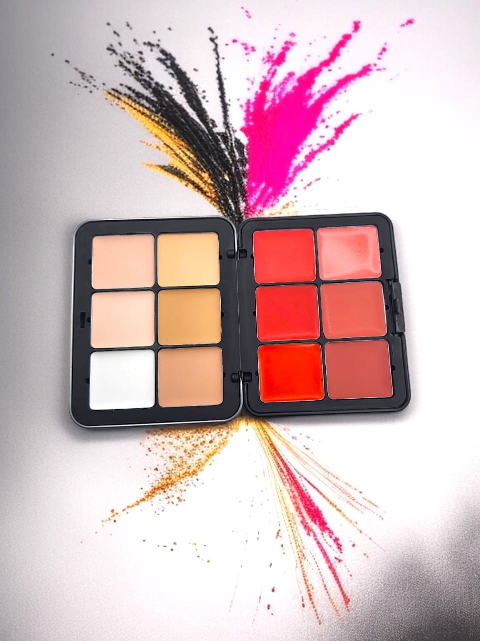 Professional Concealer & Lip Palette - Image 2